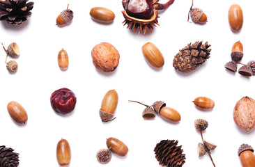 Composition of chestnut, pine cones, acorns on a white background. creative concept of autumn.