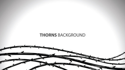 Blackthorn branches with thorns stylish background. - obrazy, fototapety, plakaty