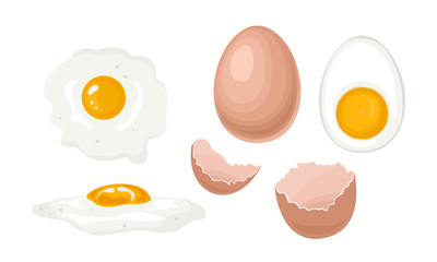 Chicken eggs set. Whole chicken egg in brown shell, half boiled egg with yolk, fried egg, broken egg shell. Vector stock illustration in cartoon simple flat style.