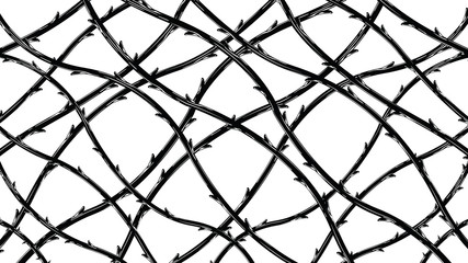 Fototapeta premium Blackthorn branches with thorns stylish background.