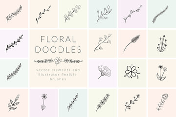 Fototapeta Vector Hand Drawn Doodle Florals, Plants, Branches, Laurels, Flowers. Design Elements Illustration Collection, Flexible Art Brushes obraz
