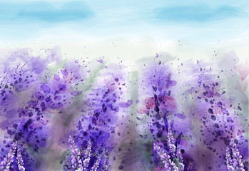 Lavender field Vector watercolor. Provence vintage background. Beautiful flowers painted styles