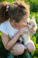 Little girl with a chihuahua puppy. A puppy in the hands of a girl