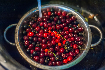 Washing the cherries in a bowl under the tap in the sink