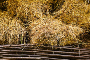 hay at haylofts