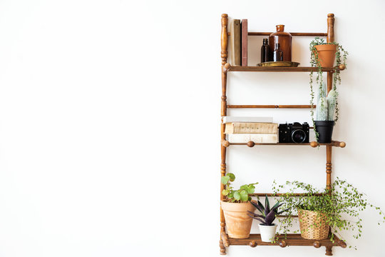 shelf on the wall with plants and books