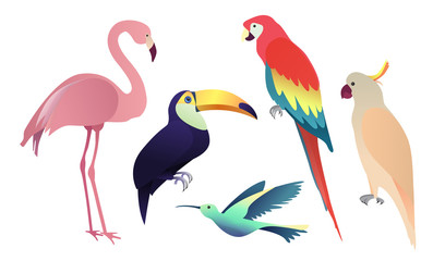 Obraz na płótnie Canvas Tropical birds set: parrots, flamingo and toucan. Collection on the white background. Vector illustration