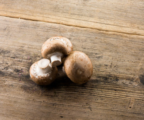 button mushrooms