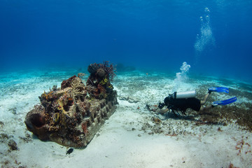 Fototapeta na wymiar Coral reef and a diver