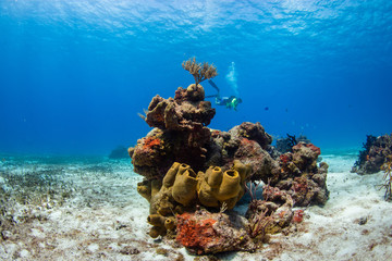 Wreck underwater, Cozumel, Mexico