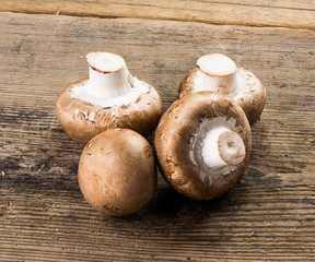 button mushrooms