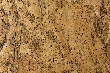 brown textured cork - closeup