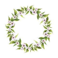Watercolor vector hand painted wreaths with Marshmallow .