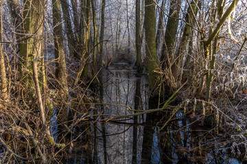 Winter river at Plzen