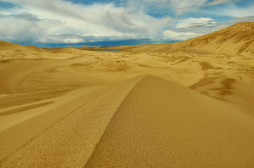 Mongolia. Sands Mongol Els, sandy dune desert,