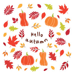 Hello autumn. Fall of hand drawn autumn leaves. Vector illustration.nt