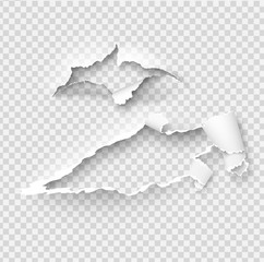 Torn ripped paper vector template, sides with ripped edges on realistic paper background. Ripped side set of banners for web and print and space for text.