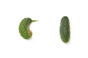 Comparison of a ugly homegrown cucumber with a good one on a white background with copy space