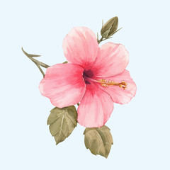 Fototapeta na wymiar Watercolor hibiscus vector illustration