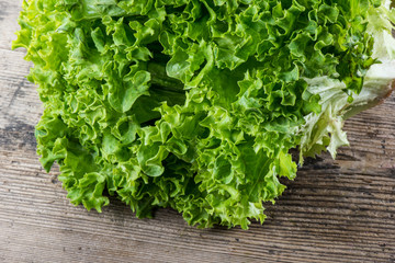 Obraz premium green salad on woodenbackground