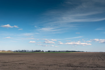 Rural landscape in spring time.