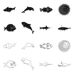 Isolated object of sea and animal symbol. Collection of sea and marine vector icon for stock.
