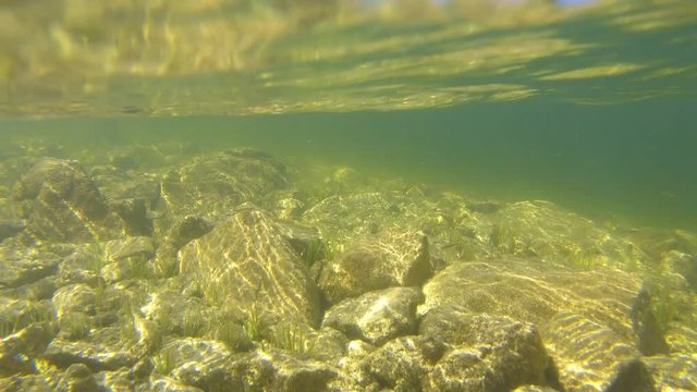 Mountain lake, rocks with some minnow fish underwater and landscape from water surface, France, Pyrenees-Orientales, Catalan Pyrenees