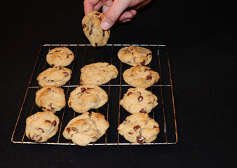 Someone stealing a cookie from the rack