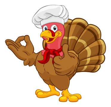 Chef Turkey Thanksgiving or Christmas bird animal cartoon character. Wearing a chefs hat and doing a perfect or okay sign with one hand and a thumbs up with the other