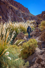 Trekkers walking along Puritama river, Atacama desert, Chile