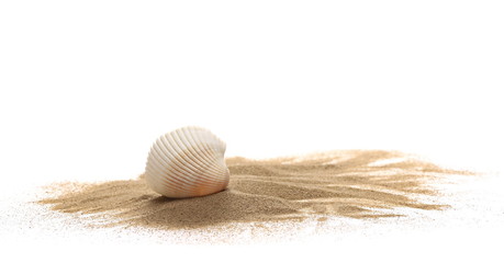 Sea shells in sand pile isolated on white background