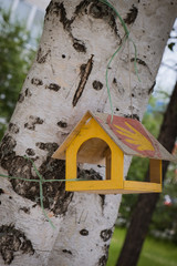 House for birds on the tree in the park. Birdhouse on the tree for birds and squirrels. Wooden feeder. Blurred Background.. Feeder tied to a birch tree trunk.