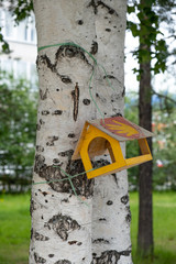 House for birds on the tree in the park. Birdhouse on the tree for birds and squirrels. Wooden feeder. Blurred Background.. Feeder tied to a birch tree trunk.