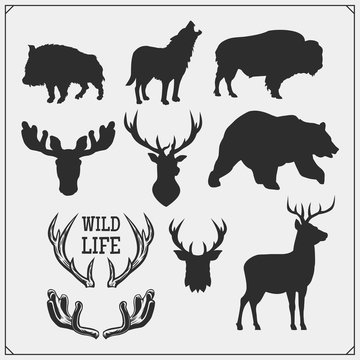 Vector set of Forest animals silhouette. Hunting club design.