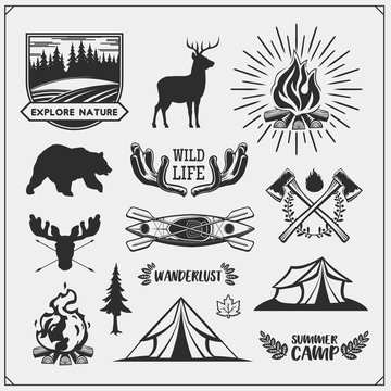 Camping club emblems and design elements with forest animals and equipment. Forest camping, outdoor adventure, wanderlust. Print design for camp t-shirt.