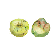 Green realistic apples.