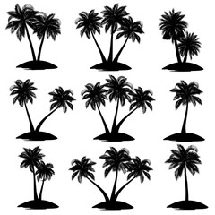 Set of palm tree silhouettes (coconut, date, acai), vector illustrations.