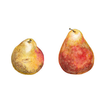 Red and yellow realistic pears.