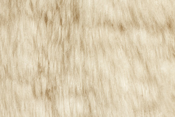 Texture of fur hair background
