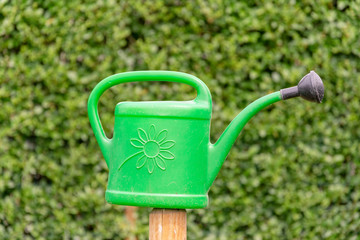 Naklejka na ściany i meble little green watering can to water flowers and plants