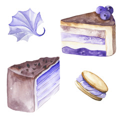 Set of blueberry desserts. Watercolor cakes and meringue. Tasty food.