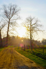 Sandy dirt road between agraric fields in a sunset flare during wintertime