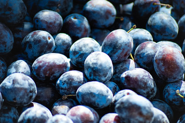 Fresh blue plums at a farmers market  