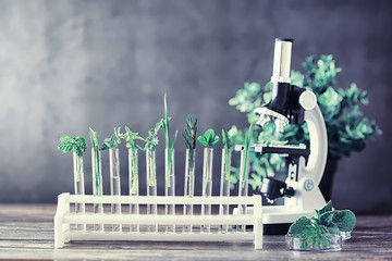 Microscope and test partings on the table in the laboratory.