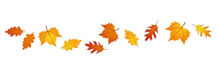 Foto op Canvas set of autumn leaves in the wind on white background vector illustration EPS10 © krissikunterbunt