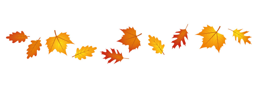 set of autumn leaves in the wind on white background vector illustration EPS10