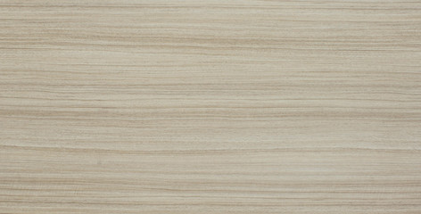 Wood oak tree close up texture background. Wooden floor or table with natural pattern