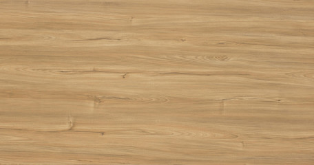 Wood oak tree close up texture background. Wooden floor or table with natural pattern