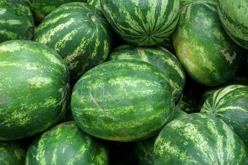 many striped large watermelons for sale