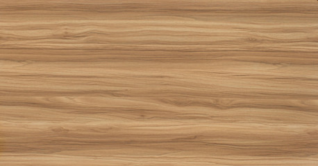 Wood oak tree close up texture background. Wooden floor or table with natural pattern